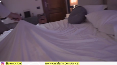 ocicat  06-05-2022